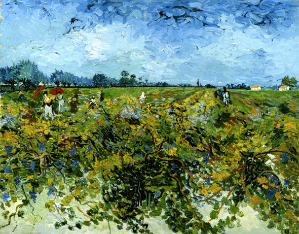Vincent van Gogh, Vigneto, 1888, olio su tela, cm 72,2 x 92,2. Otterlo, Kröller-Müller Museum