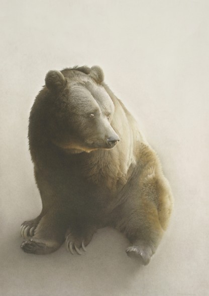 Tamer_2013_Teddy bear_acquerello e dry brush_cm 94,8 x 134.jpg