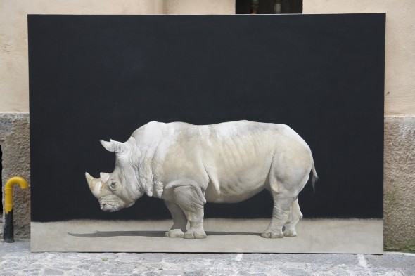 Tamer_2014_White rhino_2014_cm 155 x 104,5