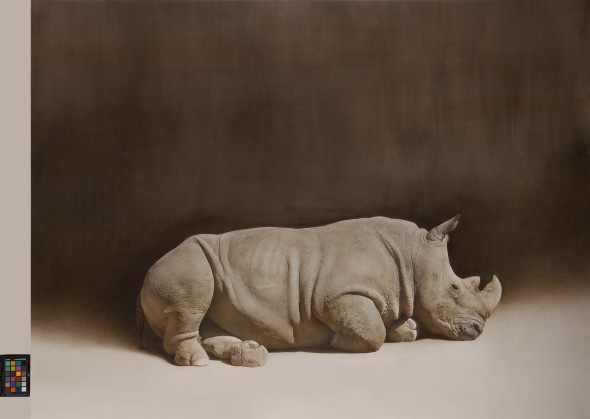 Tamer_2016_Rhino grande_acquerello cm 120 x 160_HD +prova col