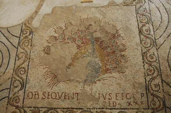 Mosaico Pavone durante il restauro
