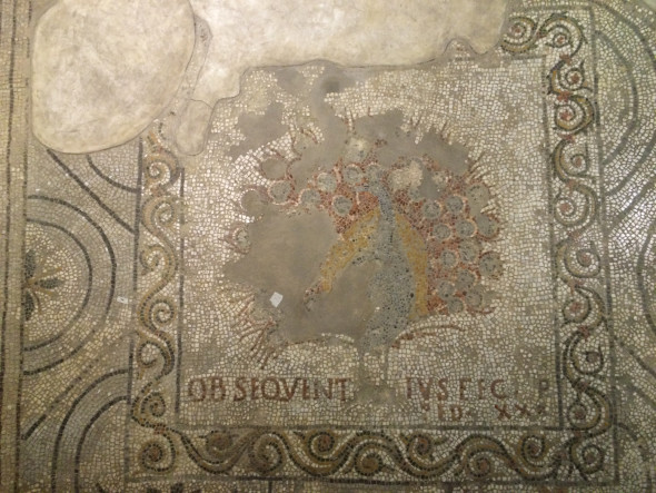 Mosaico Pavone prima del restauro
