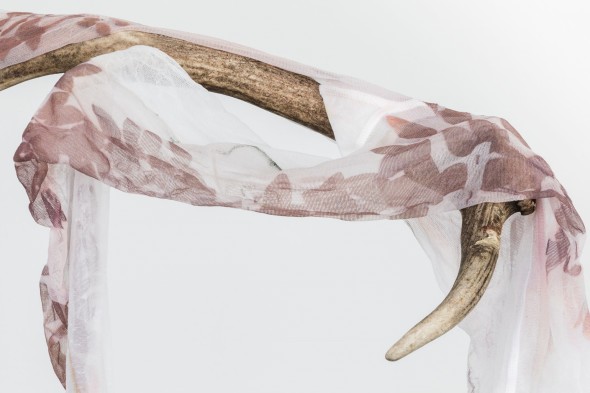 Luca Trevisani Il secco e l’umido, 2016 UV print on stockings, animal horn, plexiglas
