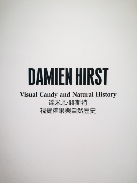 Damien Hirst "Visual Candy and Natural History" - Gagosian Hong Kong (foto Giulia Manfieri | ArtsLife)