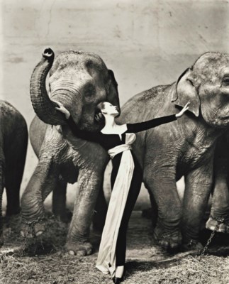 RICHARD AVEDON (1923–2004) Dovima with Elephants, Evening Dress by Dior, Cirque d'Hiver, Paris, 1955 Stima $ 300,000 - 500,000 