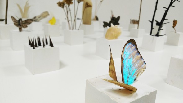 Artrooms Fair - Alice Padovani - Solid - scultura con farfalle e piante