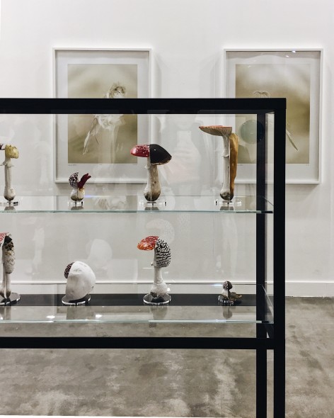 Carsten Höller, The double mushroom vitrine (2013) e Canaries (2009) - miart 2018. Foto: ArtsLife