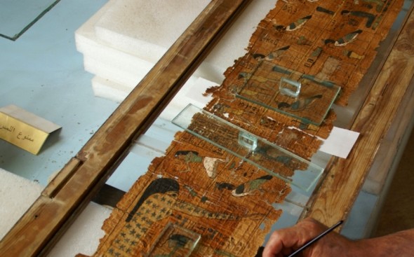 Papiri al Museo Corrado Basile di Siracusa