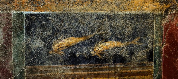 Parco Archeologico di Pompei Coppia di delfini che da il nome alla Domus Particolare dela foto di Sergio Siano  