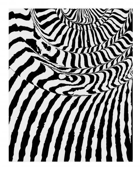 FRANCO GRIGNANI Grafia spiraliforme e rigatura parallela, 1963 sperimentale ottico ai sali di bromuro d’argento, 29,8x24,1 cm courtesy 10 A.M.ART, Milano