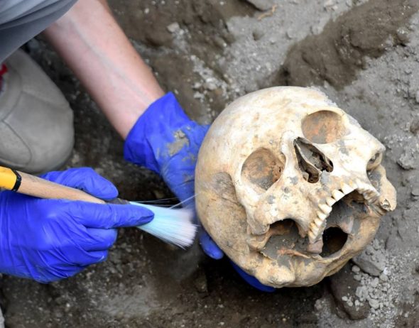 ritrovamento cranio di uno scheletro a Pompei
