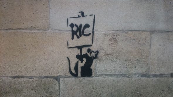 Il murale con il ratto attribuito a Banksy