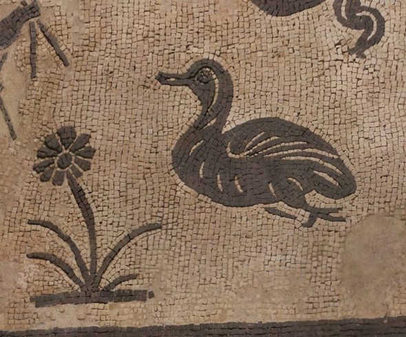 Fidenæ alla Porta di Roma -Mosaico con anatre