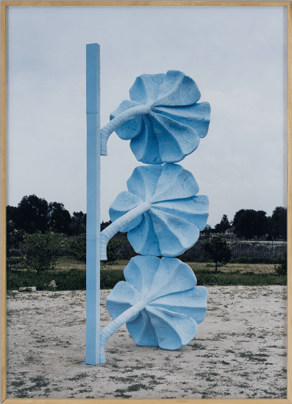 Giuseppe Gabellone Senza titolo (fiori) - 2002 Stampa Fotografica a colori Ed. 5/5 cm 210x150Collezione privata di Fondazione Fiera Milano ©Rino Carraro