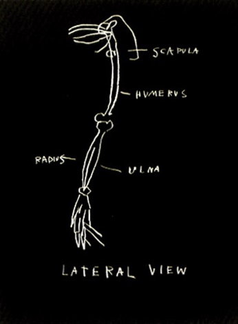 Jean-Michel Basquiat, Anatomy 