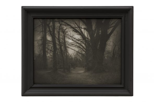 VELATA LUCE DI SILENZIO, 2013 VEILED LIGHT OF SILENCE (cm 28 x 36), [cm 36 x 44] * STAMPA ALCHEMICA AI SALI D’ARGENTO APPLICATA SU CARTONCINO, IN CORNICE ALCHEMICAL PRINT MOUNTED ON CARDBOARD, FRAMED Foto ©Luca Laureati