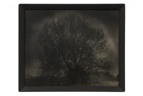 SILENZIO DI LUCE, 2007 SILENCE OF LIGHT (cm 26 x 32), [cm 28.7 x 34.7] * STAMPA ALCHEMICA AI SALI D’ARGENTO APPLICATA SU CARTONCINO, IN CORNICE ALCHEMICAL PRINT MOUNTED ON CARDBOARD, FRAMED Foto ©Luca Laureati