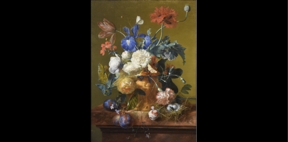 Il Vaso di fiori di Jan van Huysum rientrato a Firenze