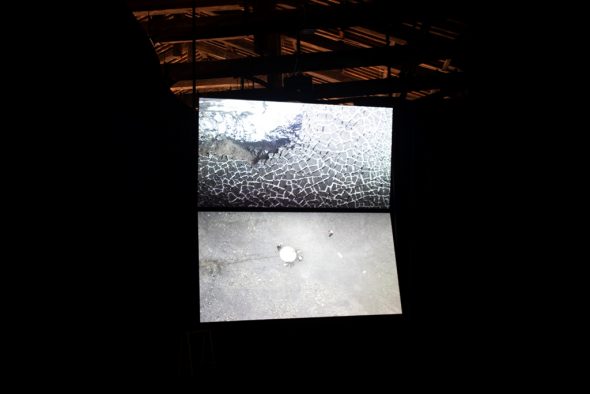 Maybe-the-cosmos-is-not-so-extraordinary-Albania-Pavilion-at-the-Venice-Biennale-2019.-Courtesy-La-Bienna-di-Venezia.-Photo-Italo-Rondinell