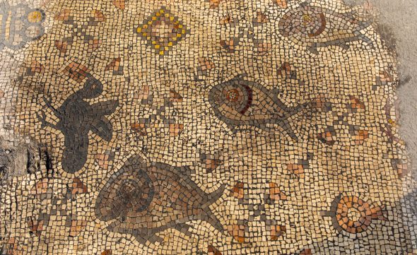 I mosaici scoperti nella cosiddetta Chiesa bruciata di Hippos (foto Michael Eisenberg)