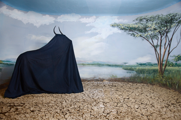 Kiluanji Kia Henda, In the days of a dark safari #5, 2017, The collection of Mr X, the man who lived 500 years, Galleria Alberta Pane Venezia