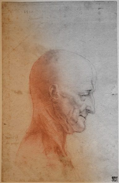 Francesco Melzi, Profilo Maschile, 1510, leonardo da vinci e il suo lascito. gli artisti e le tecniche piancoteca ambrosiana