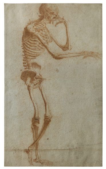 Jan Steven van Calcar, Il Filosofo