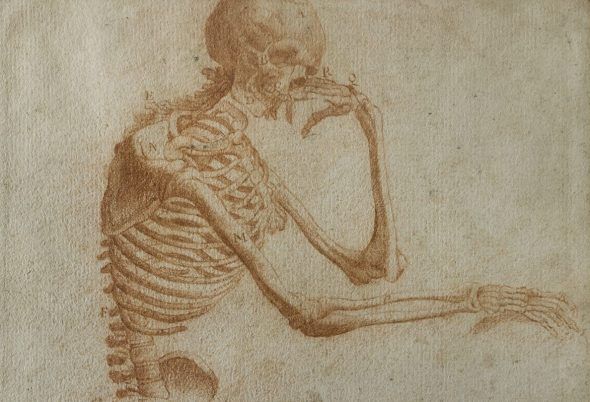 Jan Steven van Calcar, Il Filosofo