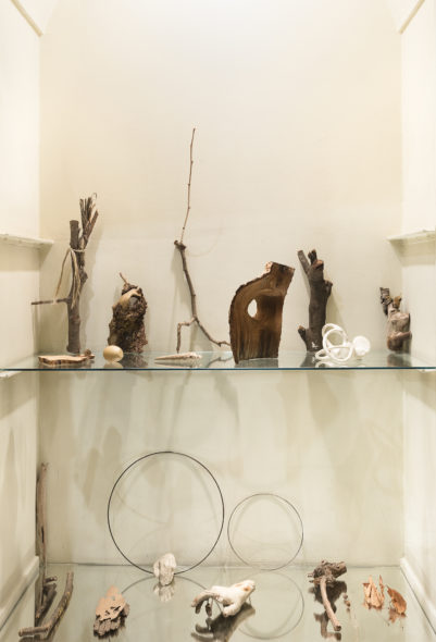 Giovanni De Lazzari, reperti raccolti in natura, scultura in gesso, 2019