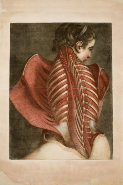 D'Agoty Ange-anatomique1746, carta intelata, incisione, Bibliothèque Inter-Universitaire Santé Médecine, Parigi