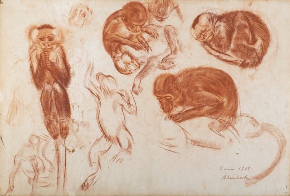 Lotto 239 ALEXANDER JACOVLEFF (San Pietroburgo 1887-Parigi 1938) "Studio per scimmia" 1915 disegno a sanguigna su carta (cm 88,5x60) Firmato, datato e locato Roma in basso a destra In cornice Stima € 4.000-5.000