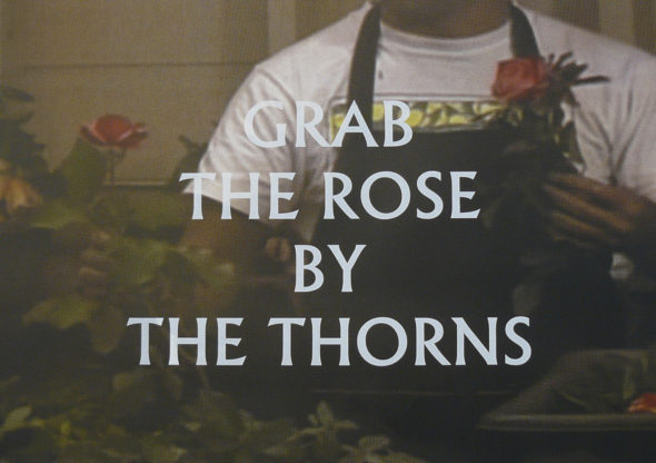 SPRINT19_Ariel Finch_02