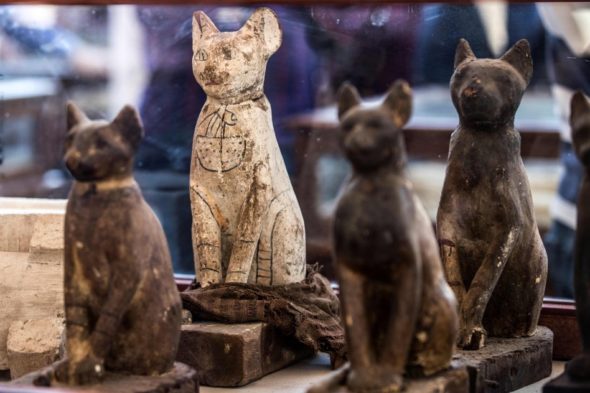 Alcune delle 75 statuette di gatto ritrovate nel deposito