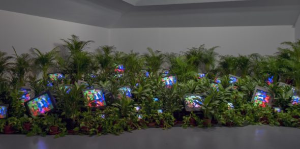 Nam June Paik, TV Garden 1974 - 1977 (2002) Single - channel video installation with live plants and color television monitors; color, sound Courtesy Kunstsammlung Nordrhein - Westfalen, Dusseldorf
