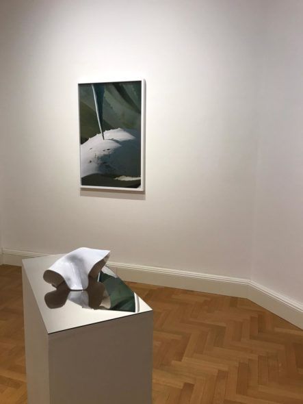 Eel Soup, Galleria Viasaterna, 2019, veduta dell'installazione