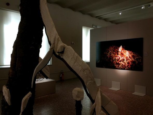 La rivoluzione siamo noi, XNL, Piacenza. Foto Artslife