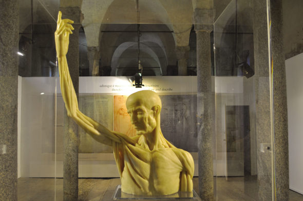 Guido da Vigevano Leonardo Ambrosiana 2020 Scultura in ceroplastica, busto con braccio alzato, ideazione Paola Salvi, realizzazione Moreno Vezzoli